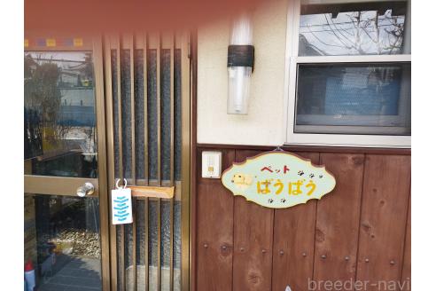 前田和広ブリーダーの詳細
